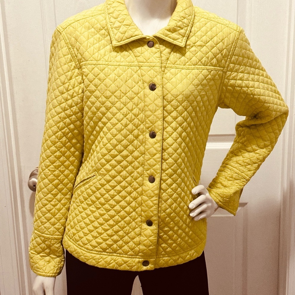 Beautiful like new Vintage light green quilted coat soft puffer Very Current!!!